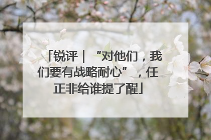 锐评｜“对他们，我们要有战略耐心”，任正非给谁提了醒