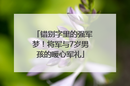 错别字里的强军梦！将军与7岁男孩的暖心军礼