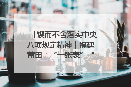 锲而不舍落实中央八项规定精神｜福建莆田：“一张表”“一张图”为基层减轻“数字负担”