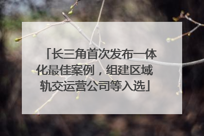 长三角首次发布一体化最佳案例，组建区域轨交运营公司等入选