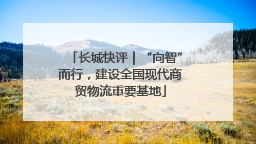 长城快评｜“向智”而行，建设全国现代商贸物流重要基地