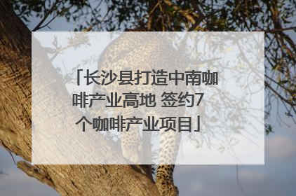 长沙县打造中南咖啡产业高地 签约7个咖啡产业项目