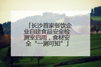 长沙首家餐饮企业自建食品安全检测室启用，食材安全“一测可知”