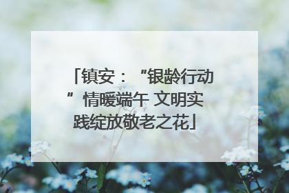 镇安：“银龄行动”情暖端午 文明实践绽放敬老之花
