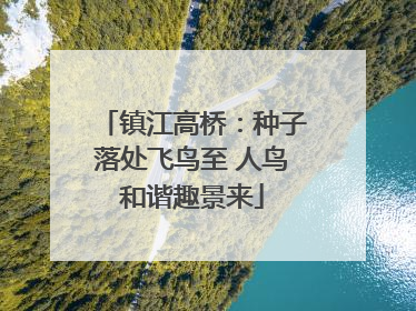 镇江高桥：种子落处飞鸟至 人鸟和谐趣景来