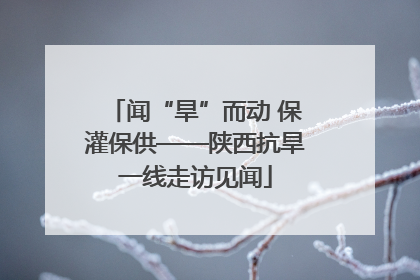 闻“旱”而动 保灌保供——陕西抗旱一线走访见闻