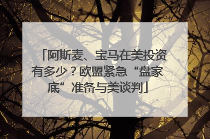 阿斯麦、宝马在美投资有多少？欧盟紧急“盘家底”准备与美谈判