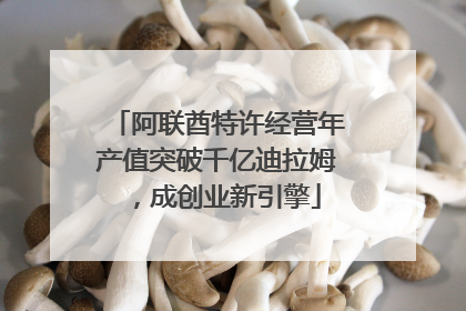 阿联酋特许经营年产值突破千亿迪拉姆，成创业新引擎
