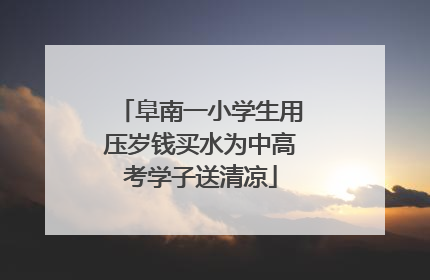 阜南一小学生用压岁钱买水为中高考学子送清凉