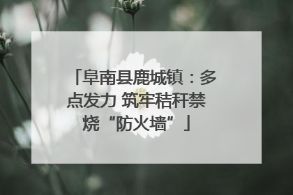阜南县鹿城镇：多点发力 筑牢秸秆禁烧“防火墙”