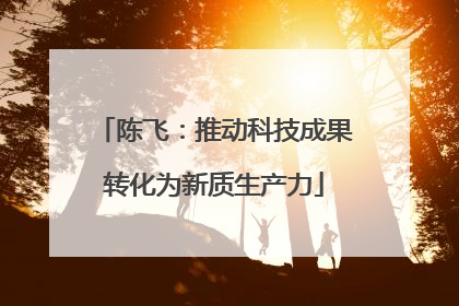 陈飞：推动科技成果转化为新质生产力