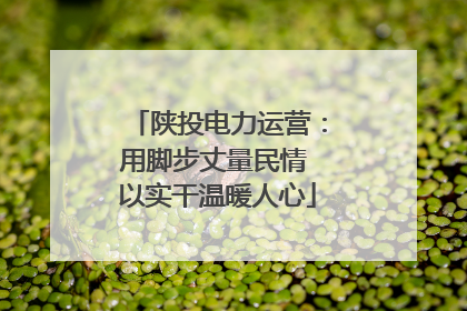 陕投电力运营：用脚步丈量民情 以实干温暖人心