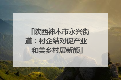 陕西神木市永兴街道：村企结对促产业 和美乡村展新颜