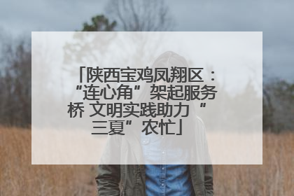 陕西宝鸡凤翔区：“连心角”架起服务桥 文明实践助力“三夏”农忙