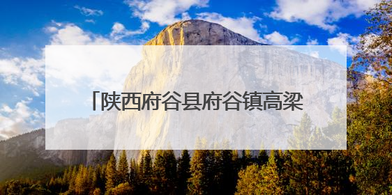 陕西府谷县府谷镇高梁村：乡货“触网出村” 农户“云端致富”