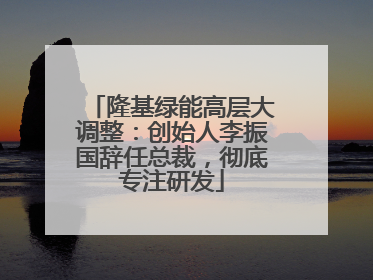 隆基绿能高层大调整：创始人李振国辞任总裁，彻底专注研发