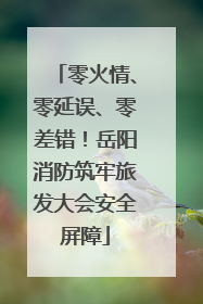 零火情、零延误、零差错！岳阳消防筑牢旅发大会安全屏障