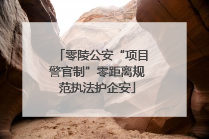 零陵公安“项目警官制”零距离规范执法护企安