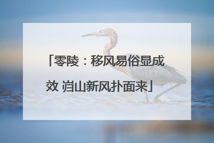 零陵：移风易俗显成效 岿山新风扑面来