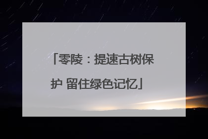 零陵：提速古树保护 留住绿色记忆