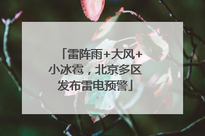 雷阵雨+大风+小冰雹，北京多区发布雷电预警