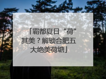 霸都夏日“荷”其美？解锁合肥五大绝美荷塘
