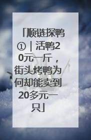顺链探鸭①｜活鸭20元一斤，街头烤鸭为何却能卖到20多元一只