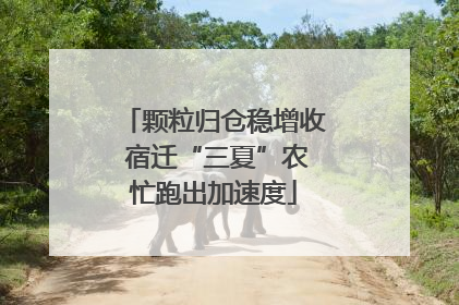 颗粒归仓稳增收 宿迁“三夏”农忙跑出加速度