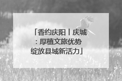 香约庆阳丨庆城：厚植文旅优势 绽放县域新活力