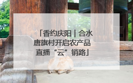 香约庆阳｜合水唐旗村开启农产品直播“云”销路
