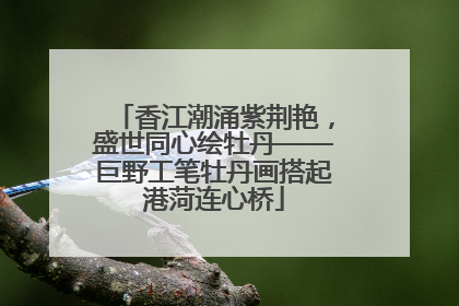 香江潮涌紫荆艳，盛世同心绘牡丹——巨野工笔牡丹画搭起港菏连心桥
