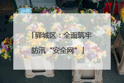 驿城区：全面筑牢防汛“安全网”