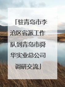 驻青岛市李沧区省派工作队到青岛市舜华实业总公司调研交流