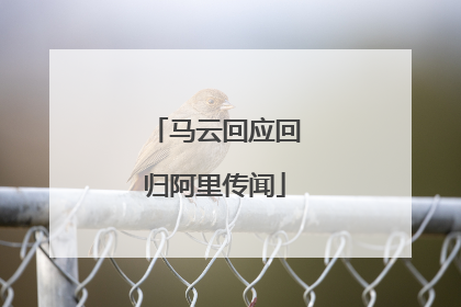 马云回应回归阿里传闻