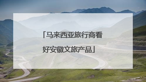 马来西亚旅行商看好安徽文旅产品