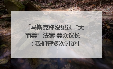 马斯克称没见过“大而美”法案 美众议长：我们曾多次讨论