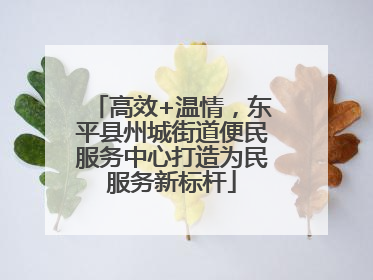 高效+温情，东平县州城街道便民服务中心打造为民服务新标杆