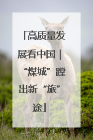 高质量发展看中国｜“煤城”蹚出新“旅”途