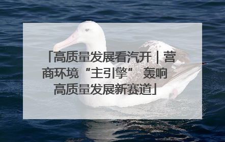 高质量发展看汽开｜营商环境“主引擎” 轰响高质量发展新赛道