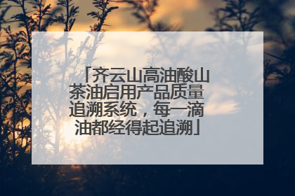 齐云山高油酸山茶油启用产品质量追溯系统，每一滴油都经得起追溯