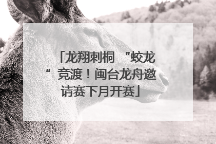 龙翔刺桐 “蛟龙”竞渡！闽台龙舟邀请赛下月开赛