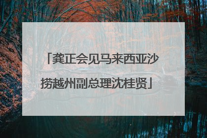 龚正会见马来西亚沙捞越州副总理沈桂贤