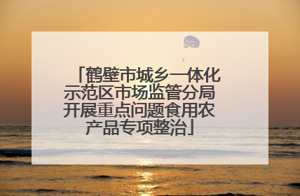 鹤壁市城乡一体化示范区市场监管分局开展重点问题食用农产品专项整治