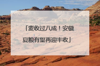 麦收过八成！安徽夏粮有望再迎丰收