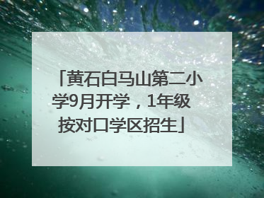 黄石白马山第二小学9月开学，1年级按对口学区招生
