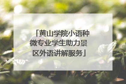 黄山学院小语种微专业学生助力景区外语讲解服务