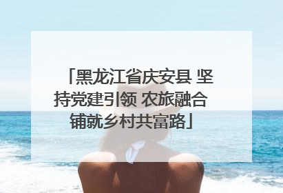 黑龙江省庆安县 坚持党建引领 农旅融合铺就乡村共富路