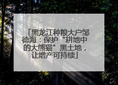 黑龙江种粮大户邹德海：保护“耕地中的大熊猫”黑土地，让增产可持续