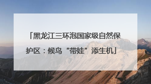 黑龙江三环泡国家级自然保护区：候鸟“带娃”添生机