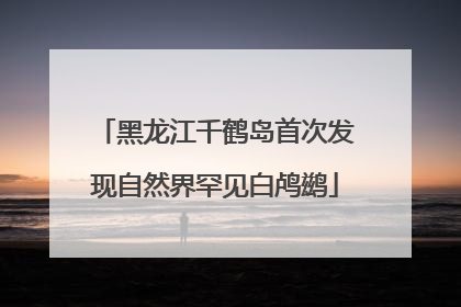 黑龙江千鹤岛首次发现自然界罕见白鸬鹚
